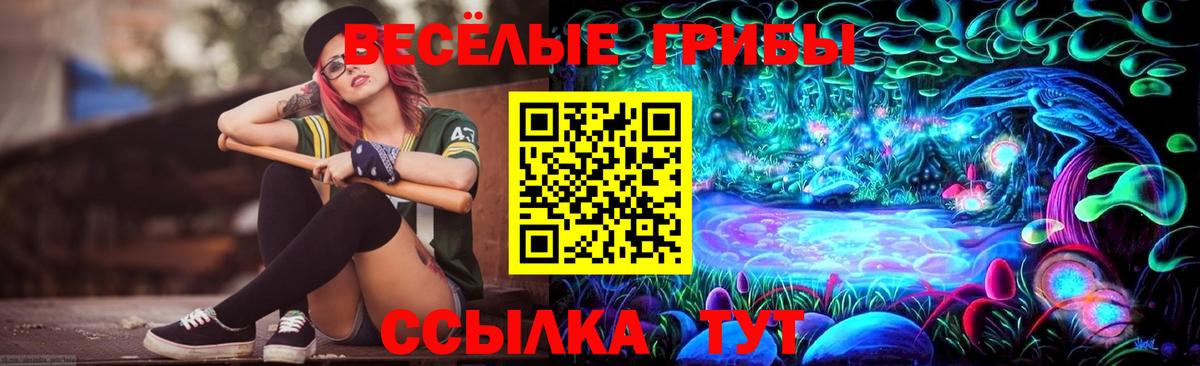 Псилоцибиновые грибы Psilocybe  Вход с VPN  Мценск 