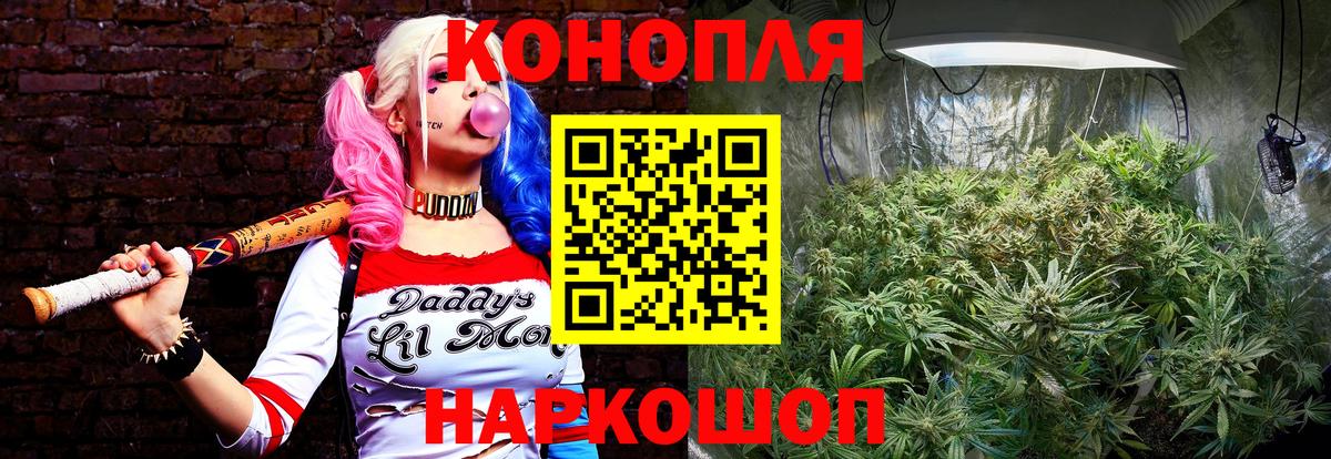 Мценск  Шишки марихуана индика  Вход с VPN  Марихуана планчик 